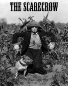 poster_the-scarecrow_tt0011656.jpg Free Download