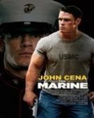 movies_poster_1389954924.jpg Free Download