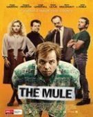 movies_poster_1420281200.jpg Free Download