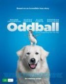 movies_poster_1453984954.jpg Free Download