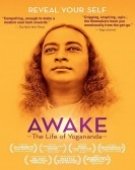poster_awake-the-life-of-yogananda_tt3741860.jpg Free Download