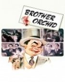 poster_brother-orchid_tt0032285.jpg Free Download