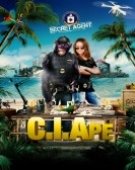 poster_ciape_tt11465692.jpg Free Download