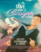 poster_dove-osano-le-cicogne_tt34765305.jpg Free Download
