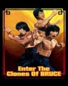 poster_enter-the-clones-of-bruce_tt27331483.jpg Free Download
