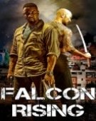 poster_falcon-rising_tt2295722.jpg Free Download
