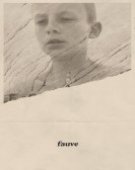 poster_fauve_tt7467476.jpg Free Download