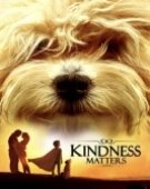 poster_kindness-matters_tt8470494.jpg Free Download