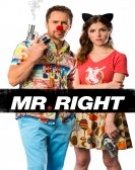 poster_mr-right_tt2091935.jpg Free Download
