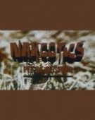 poster_narcotics pi_tt0260221.jpg Free Download