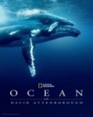 poster_ocean-with-david-attenborough_tt33022710.jpg Free Download