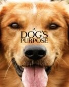 poster_purpose_tt1753383.jpg Free Download