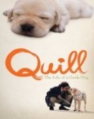 poster_quill-the-life-of-a-guide-dog_tt0400761.jpg Free Download