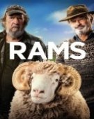 poster_rams_tt8737608.jpg Free Download