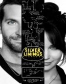 poster_silver-linings-playbook_tt1045658.jpg Free Download