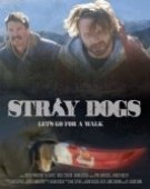 poster_stray-dogs_tt11669056.jpg Free Download