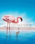 poster_the-crimson-wing-mystery-of-the-flamingos_tt0902967.jpg Free Download