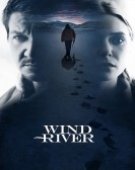 poster_wind-river_tt5362988.jpg Free Download
